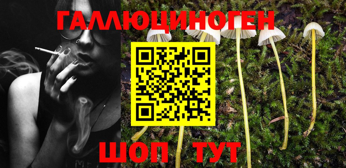 Галлюциногенные грибы Cubensis  Галлюциногенные грибы Psilocybe  Вход с VPN  Арсеньев 